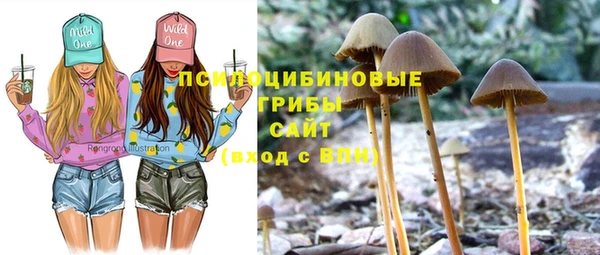 герыч Алзамай