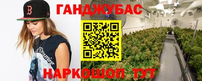 индика Нарткала
