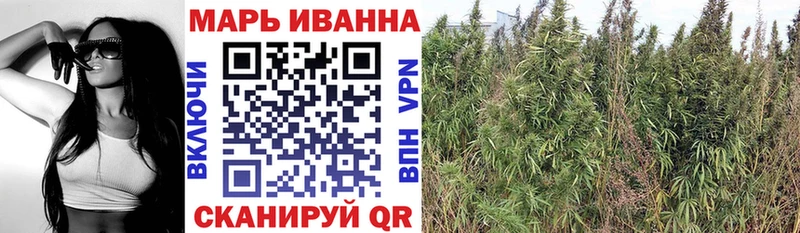 купить наркотики сайты  Старая Русса  Каннабис конопля 